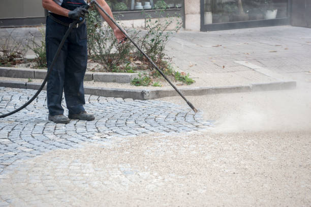 Best Dumpster Area Cleaning  in Scotia, NY